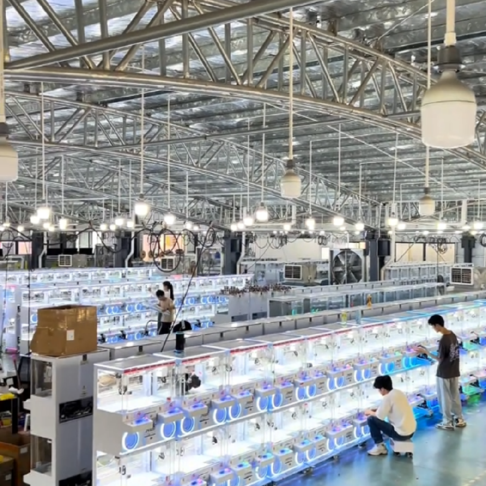 Fanhong Animation | 15-Year Amusement Equipment Source Factory, Globally Trusted Game Machine Manufa